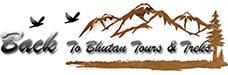 b2b logo